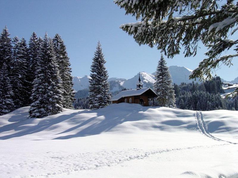 Appartement Riezler Hirschegg (Vorarlberg)